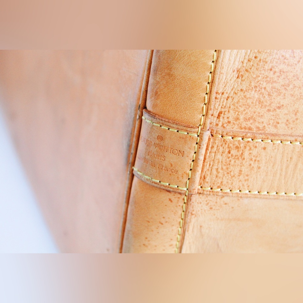 Louis Vuitton Cruiser 45 Nomade Leather - Picture 12 of 15